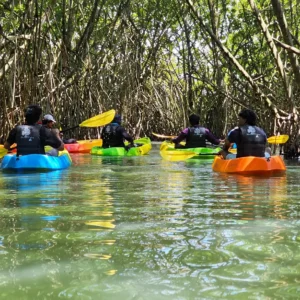 Couple Kayaking