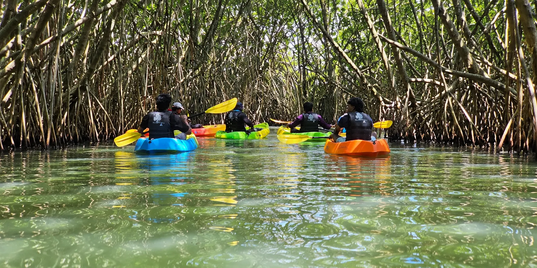 Guided Kayaking - Image 3