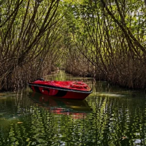 Country Boat + Semi-Speed Boat