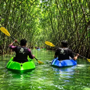Guided Kayaking