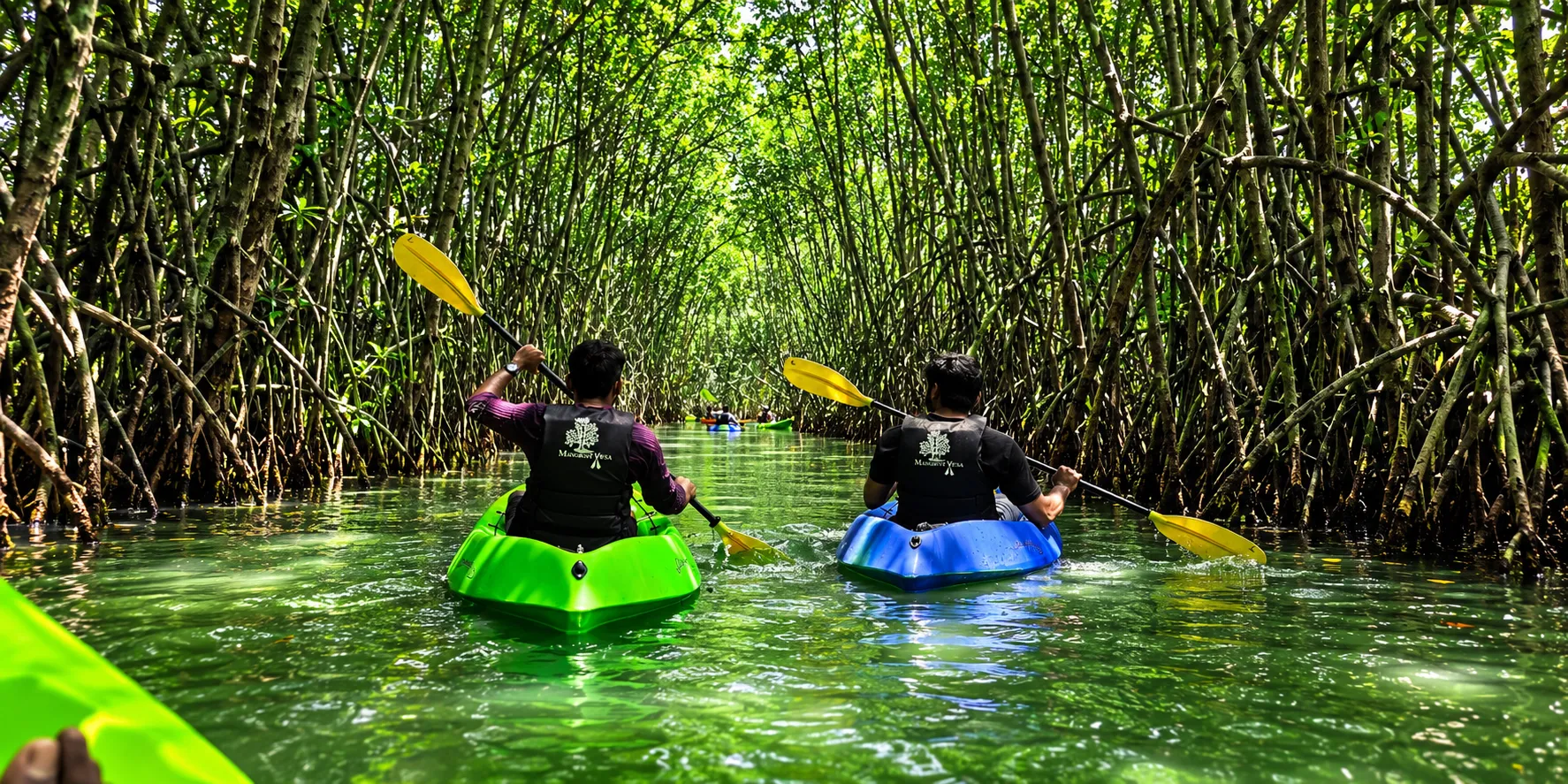 Guided Kayaking